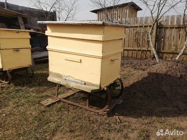 Продам улей и полный комплект пчеловода купить на Зозу.ру - фотография № 2