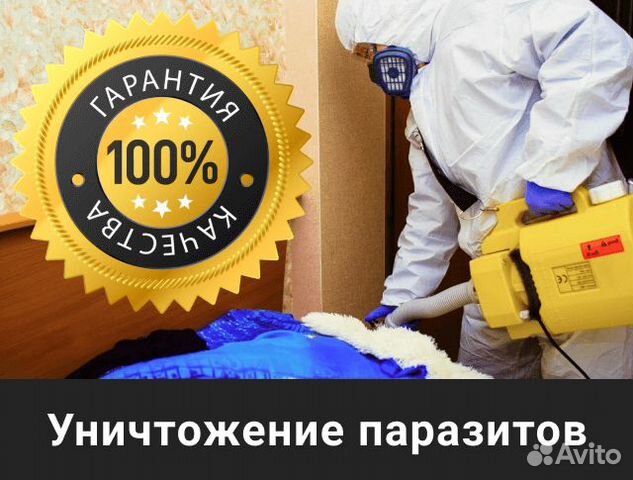 Уничтожение клопов, клещей, тараканов, ос, кротов Уничтожение клопов, клещей, тараканов, ос, кротов