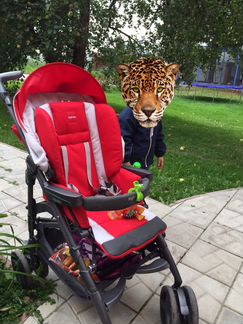 Коляска Inglesina Zippy