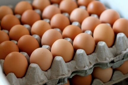 Сборщик яиц