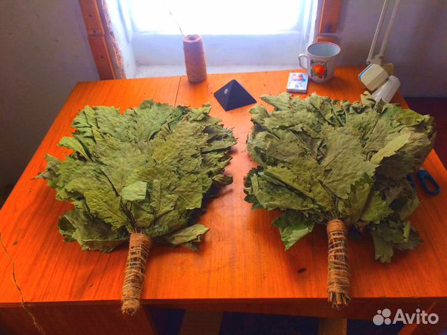 Веники Дубовые 