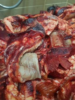 Мясо и субпродукты для собак