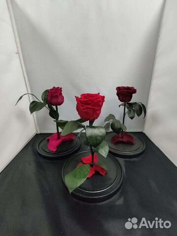 Роза в колбе оптом и в розницу