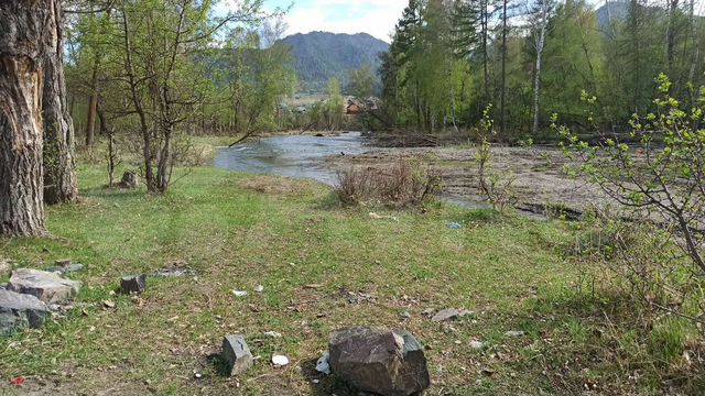 Участок 1,17 га (ИЖС)