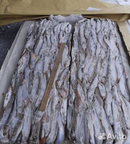 Свежемороженая мойва оптом