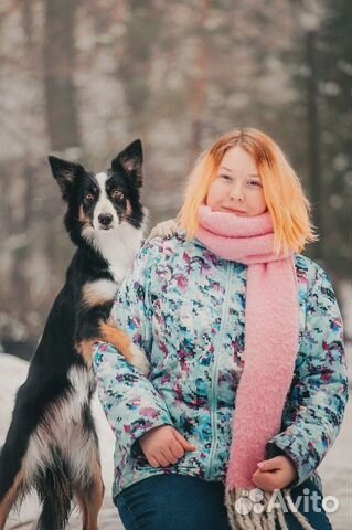 Дрессировка и воспитание собак, кинолог