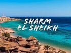 Новый нод в Шарм-Эль-Шейхе