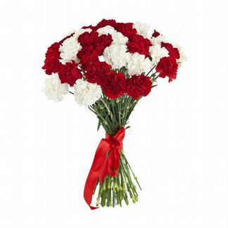 Гвоздика однобутонная оптом