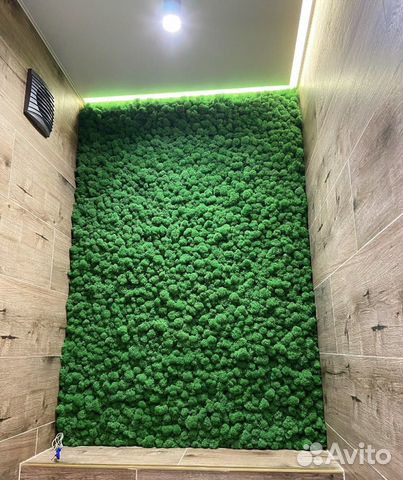 Мох стабилизаторованный. Стена с мхом