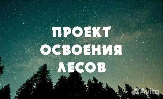 Проект освоения лесов образец 2022