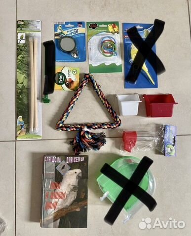 Новое Попугаю