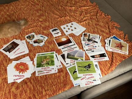 Карточки Домана