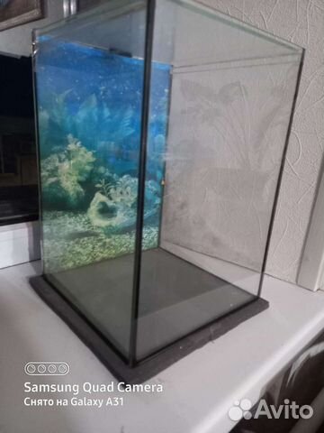 Креветочник