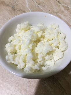 Кефирный гриб (тибетский, молочный)