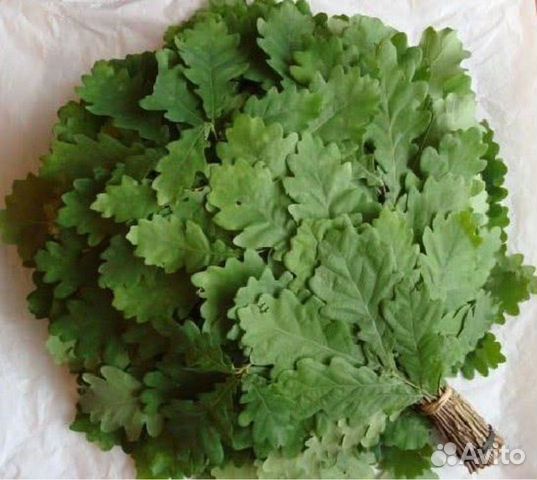 Веники дубовые, березовые