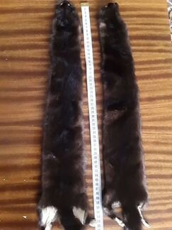 Шкурки норки