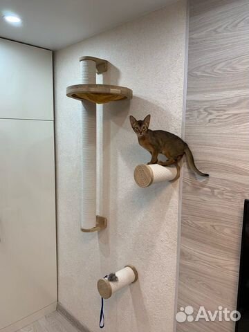 Комплекс для кошек Oak Cat Bobbin