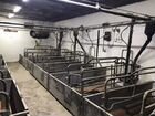 Свинотоварная ферма (стф) свинокомплекс