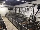 Свинотоварная ферма (стф) свинокомплекс