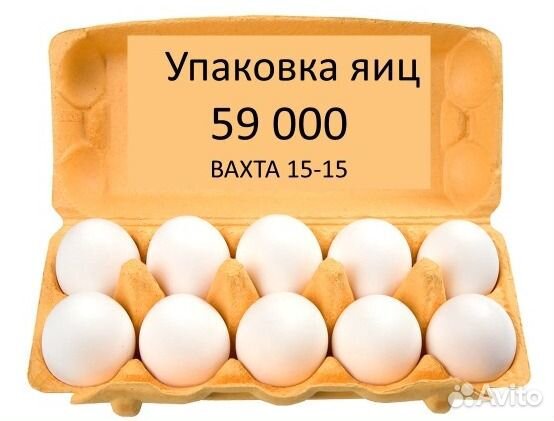 Москва Вахта Упаковщик / ца яиц на Птицефабрике