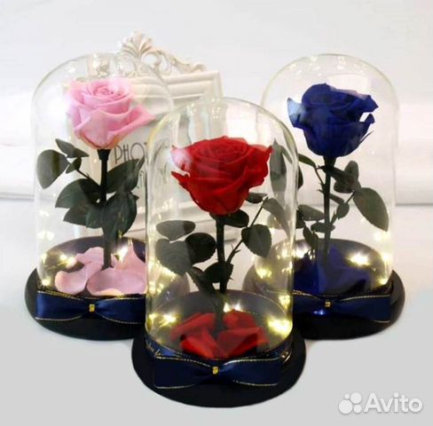 Роза в колбе