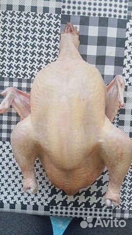 Мясо домашнего бройлера