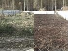 Очистка участка от деревьев сорняка хлама