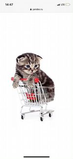 Продавец - Консультант в зоомагазин