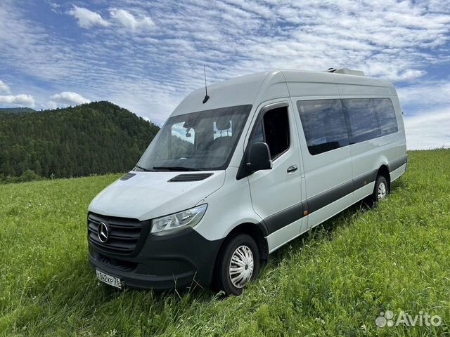 Трансферы по Алтаю