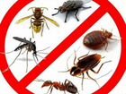 Уничтожение тараканов клопов, муравьев и блох