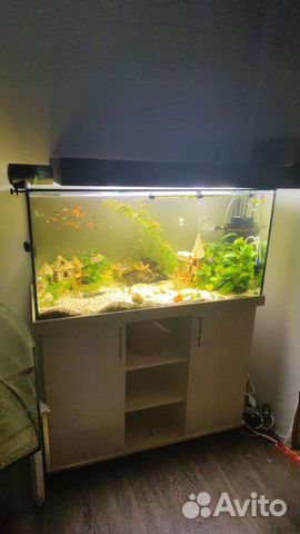 Аквариум 250 литров с тумбой и рыбками