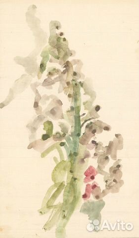 Жегин Л.Ф. (1892–1969 гг.) Растение. 1930-е г