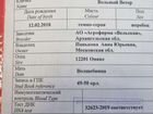 Продаётся Орловский жеребец Вольный ветер 2018г.р объявление продам