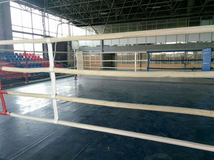 Профессиональный ринг на железном каркасе