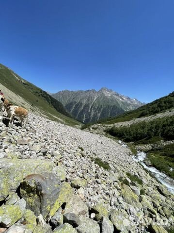 База отдыха с бассейном баня туризм джипинг в ущел