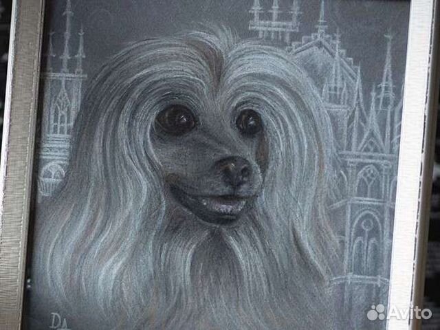 Портрет домашнего питомца, кота, собаки на заказ