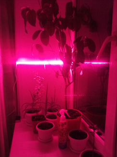 Фитолента,Ультрафиолет для растений (0.5м)