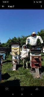 Продам Ульи с пчёлами и без - фотография № 5