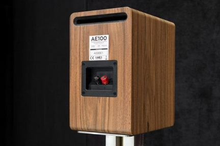 Полочные колонки Acoustic Energy AE100