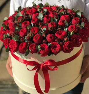 101 Роза, Букеты Цветы Розы 31 51 75 301 Доставка