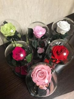 Роза в колбе с гарантией 5 лет