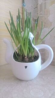 Керамический декоративный чайник