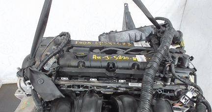 Двигатель Ford Focus 3 2.0 MGD