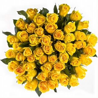31 роза