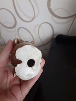 Олимпийский мишка с нюансами мелкимм