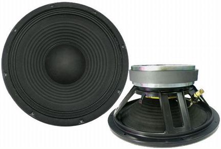 Динамик Alphard RW100B81