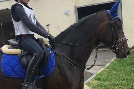 Вальтрап и ушки