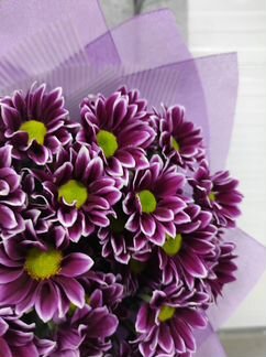 Букет из Хризантем