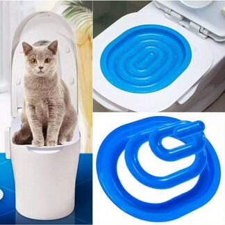 Новый кошачий туалет