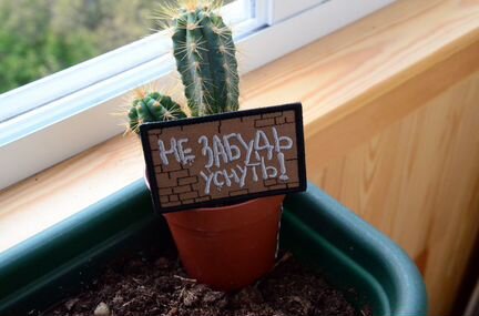 Патч, нашивка, Не забудь уснуть, с липучкой